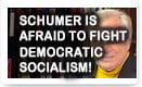 Schumer Is Afraid to Fight Democratic Socialism
