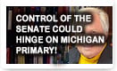 Control Of The Senate Could Hinge On Michigan Primary