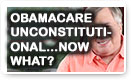 ObamaCare Unconstitutional...Now What? - Lunch Alert!