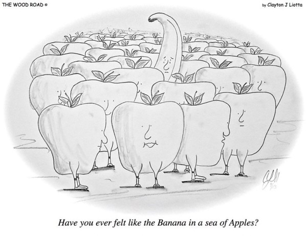 3-15-16