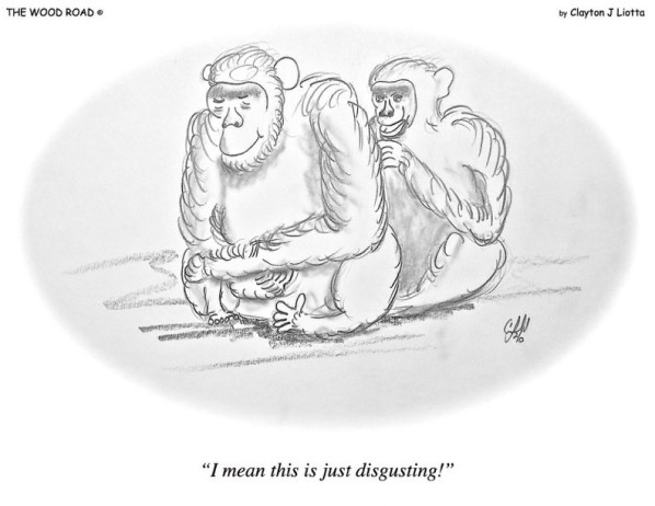 5-12-15