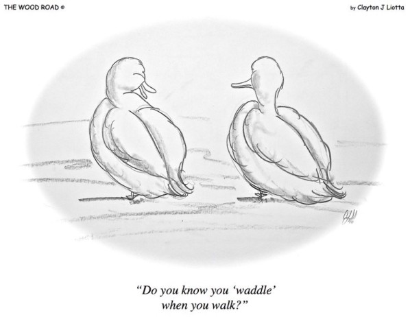7-15-15-Waddle