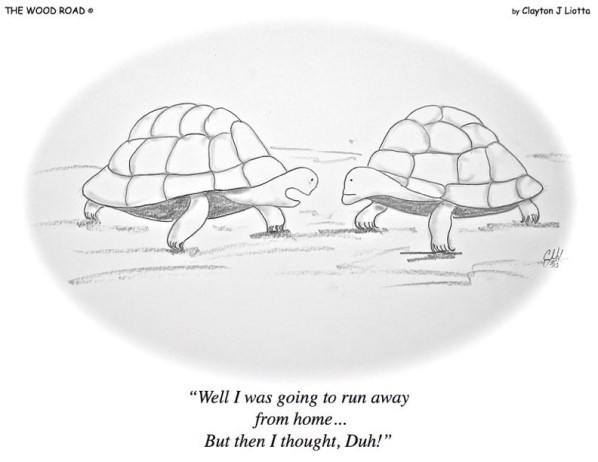 7-17-15-Run-away-from-home